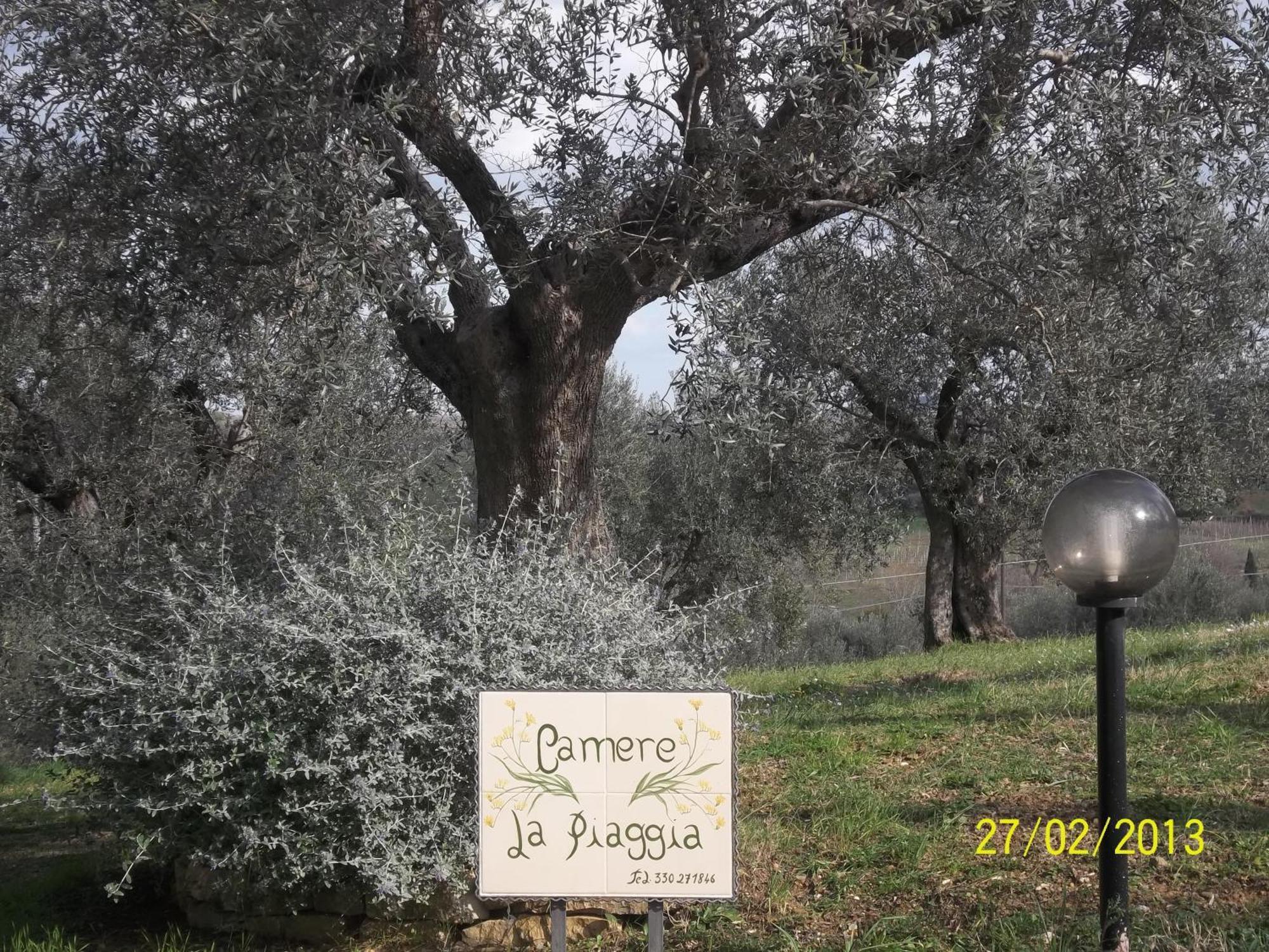 B&B La Piaggia Montemerano Εξωτερικό φωτογραφία
