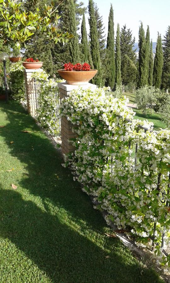 B&B La Piaggia Montemerano Εξωτερικό φωτογραφία